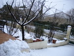 DSCN0320.JPG