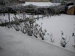 DSCN0331.JPG