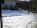 DSCN0339.JPG