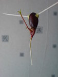 DSC03977.JPG