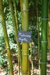 foto02.jpg