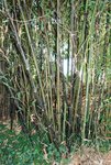 foto26.jpg