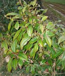DSC00002.JPG