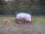 DSCN2167.JPG