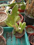 Photo 005.jpg