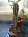 Photo 007.jpg