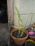 Photo 012.jpg