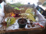 Photo 003.jpg