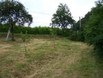 100_2571.JPG