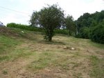 100_2574.JPG