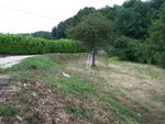 100_2577.JPG