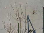 DSC00509.JPG