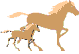 Animal_Equides_004.gif