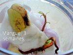 Voilà une photo ... =)
