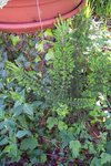 photo 020.jpg