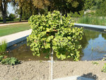 vue-large.jpg