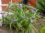 DSCN7682.JPG