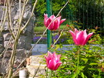 DSCN7496.JPG