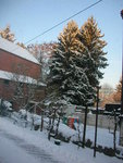 DSCN8944.JPG