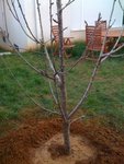 installé :)