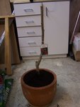 100_2878.JPG