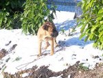 100_2776.JPG