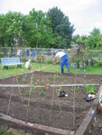 potager honfleur  23 mai 2009 004.JPG