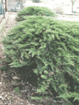 DIVERS-MAISON-024.gif