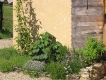 coin aromatique près de la maison