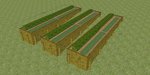 potager1.jpg