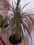 P020310_17.42.jpg