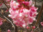 DSCN0375.JPG