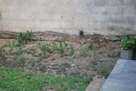 DSC_1363.JPG