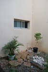 DSC_1364.JPG