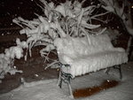 DSCN0397.JPG