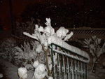 DSCN0400.JPG