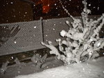 DSCN0401.JPG