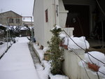 DSCN0403.JPG