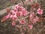 DSCN0376.JPG