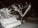 DSCN0398.JPG