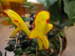 IMG_0227.JPG