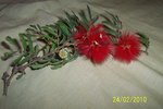 100_2325.jpg