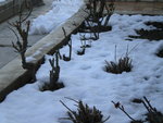 DSCN0420.JPG