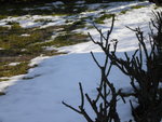 DSCN0422.JPG