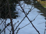 DSCN0423.JPG