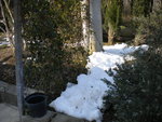DSCN0428.JPG