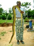 Akim le petit anaconda d´Amina