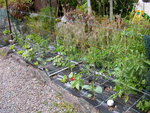 début de saison 2009