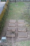 potager carré 2.JPG