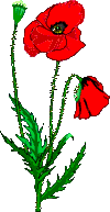 coquelicot002.gifimages.gif